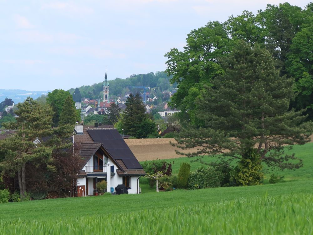 Blick Richtung Frauenfeld