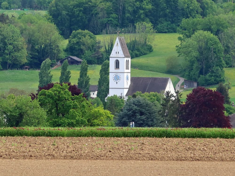 Kirche Gachnang