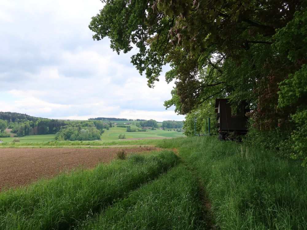 Wiesenpfad und Bienenhaus