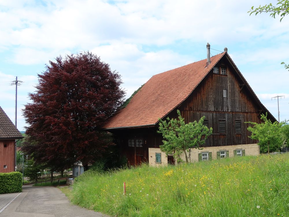 Bauernhaus in Islikon