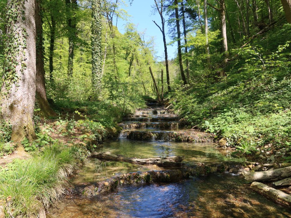 Ernstelbach