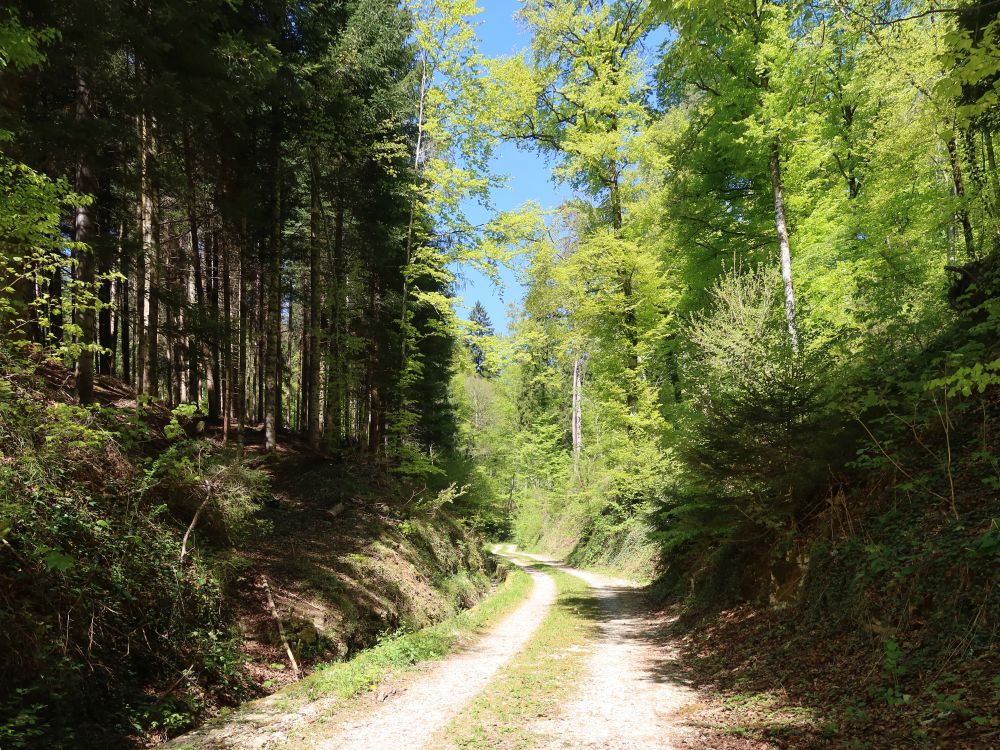 Waldweg