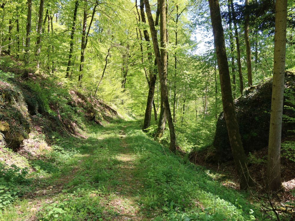 Tüüfels-Chuchi