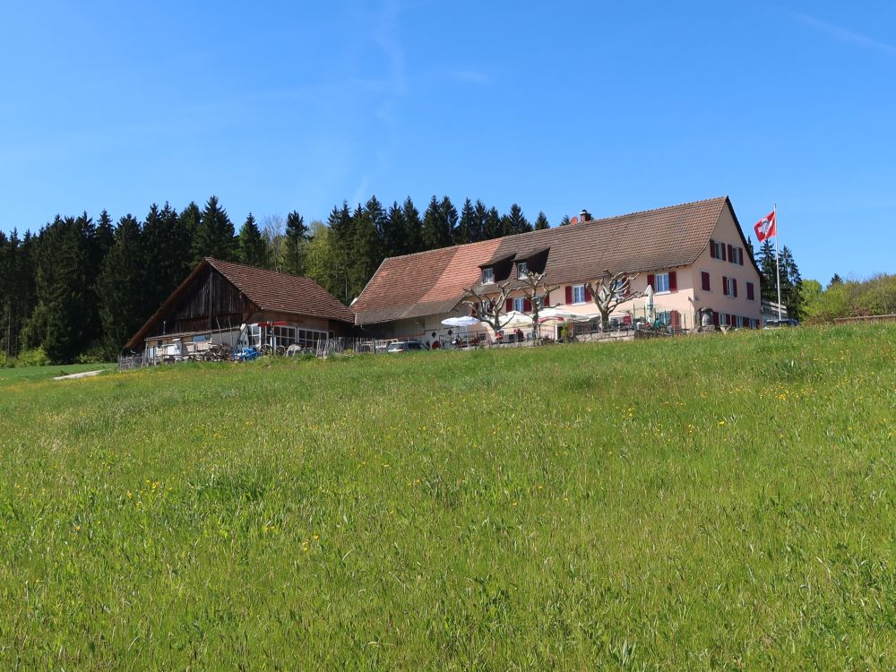 Restaurant Rossberghof