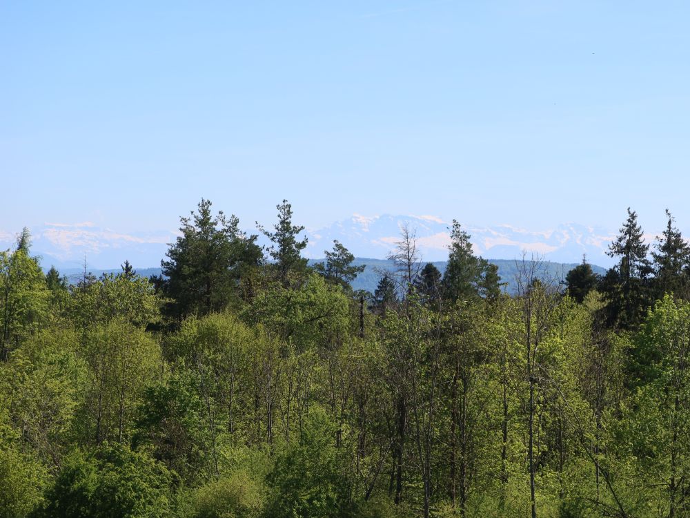 Alpen im Dunst