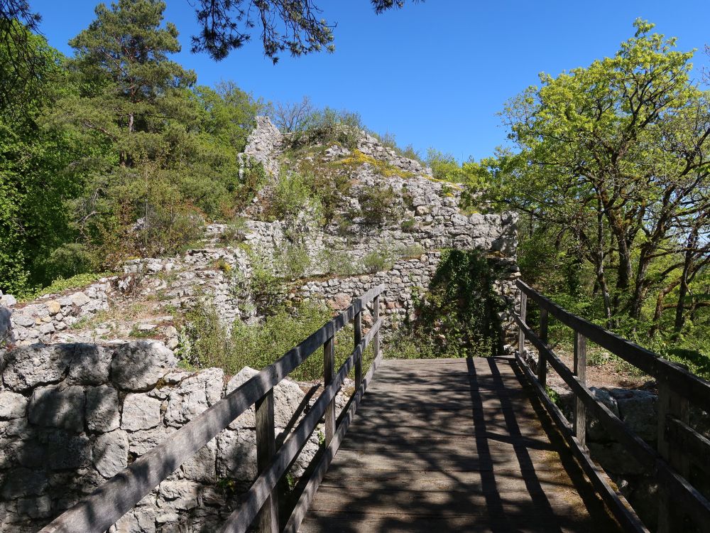 Burgruine Radegg