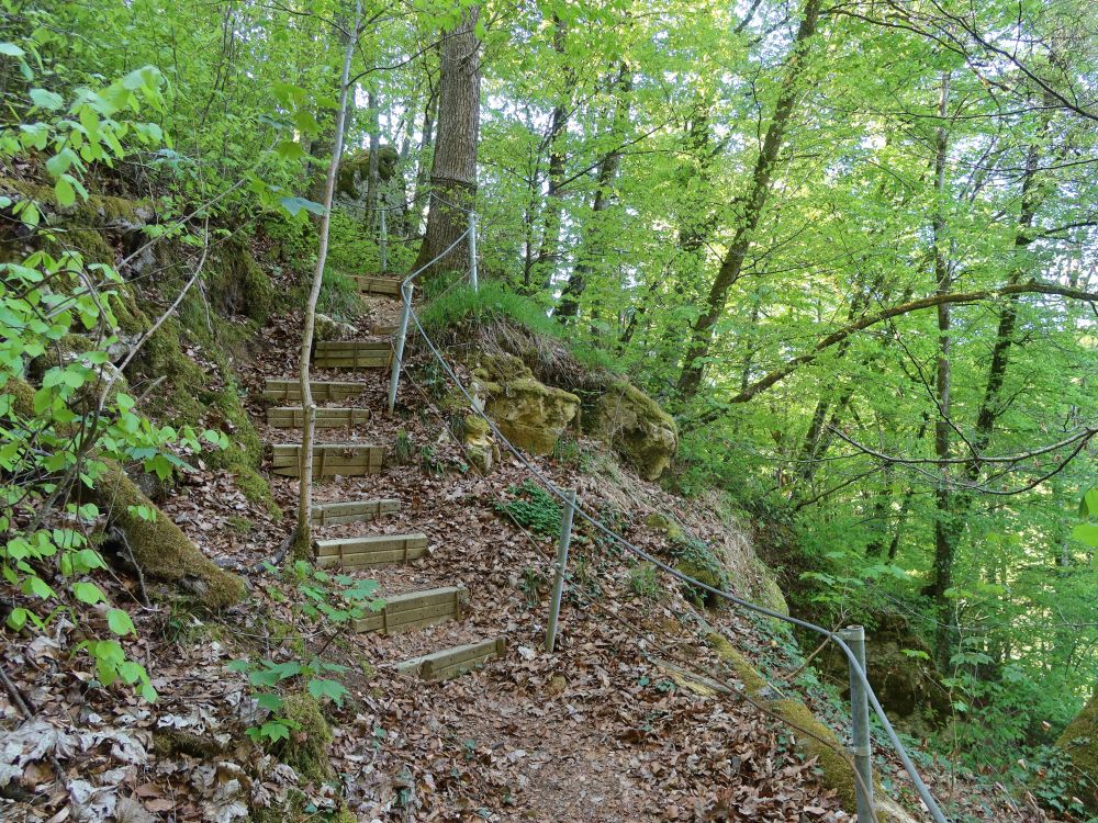 Treppe am Ölbach