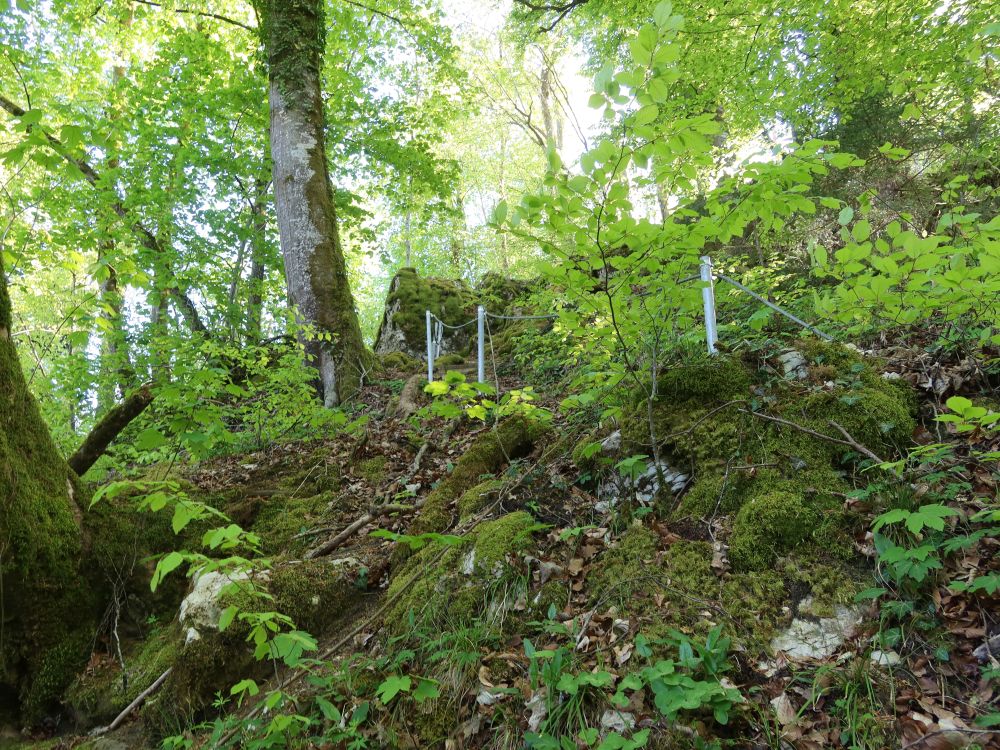 Felspfad am Ölbach