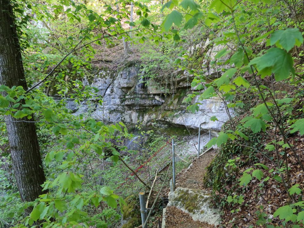 Steg am Ölbachfall