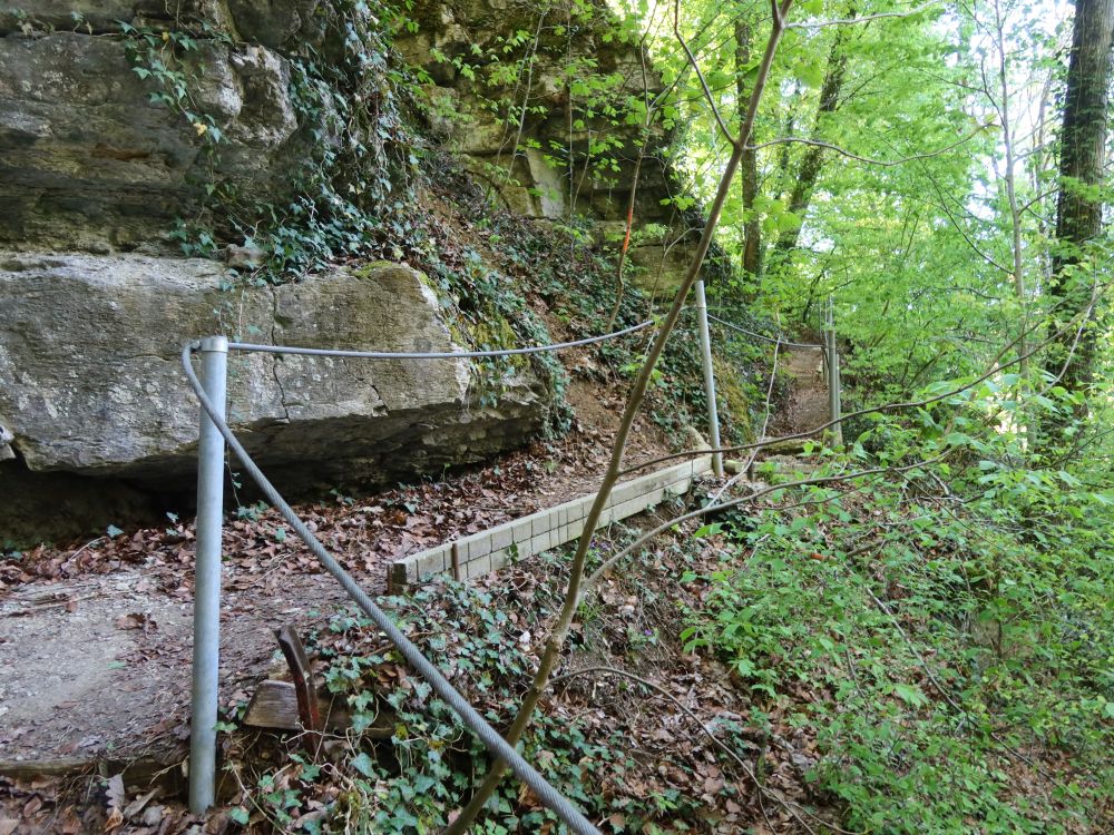Steg am Ölbachfall
