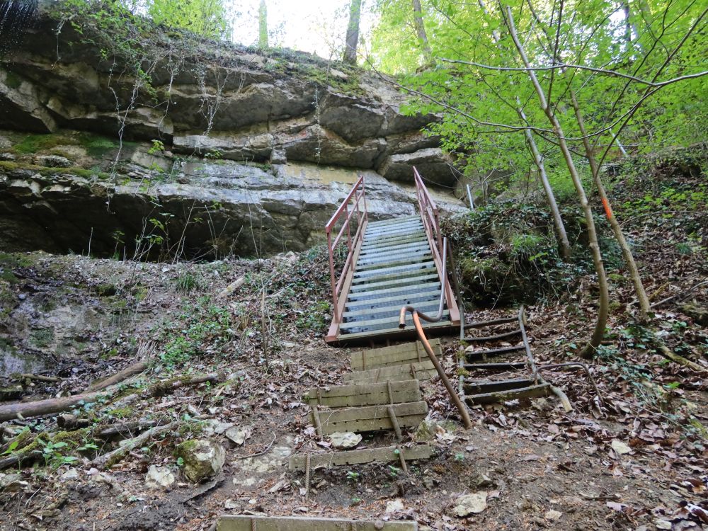 Treppe am Ölbachfall