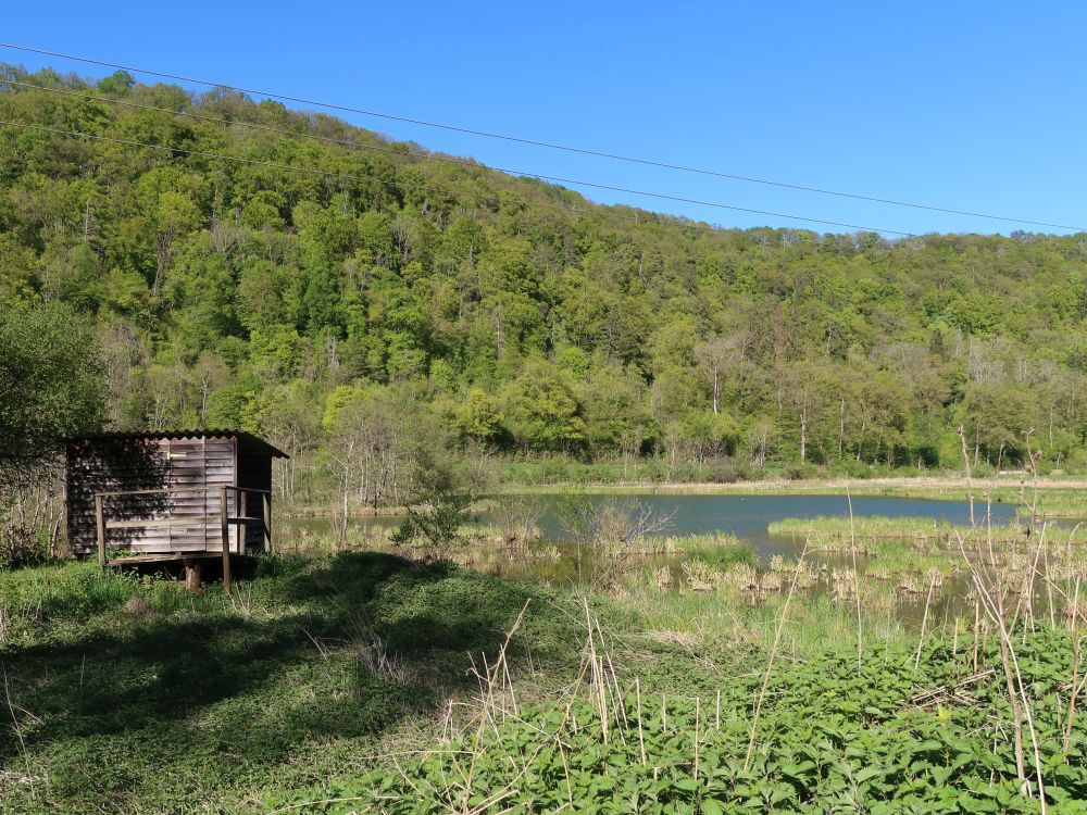 Biotop Wangental Natur Pur