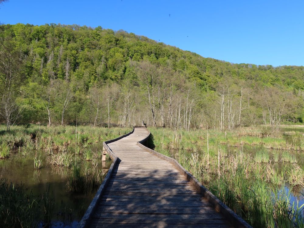 Biotop Wangental Natur Pur