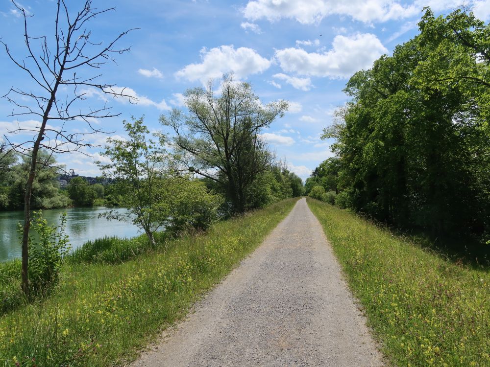Uferweg an der Reuss