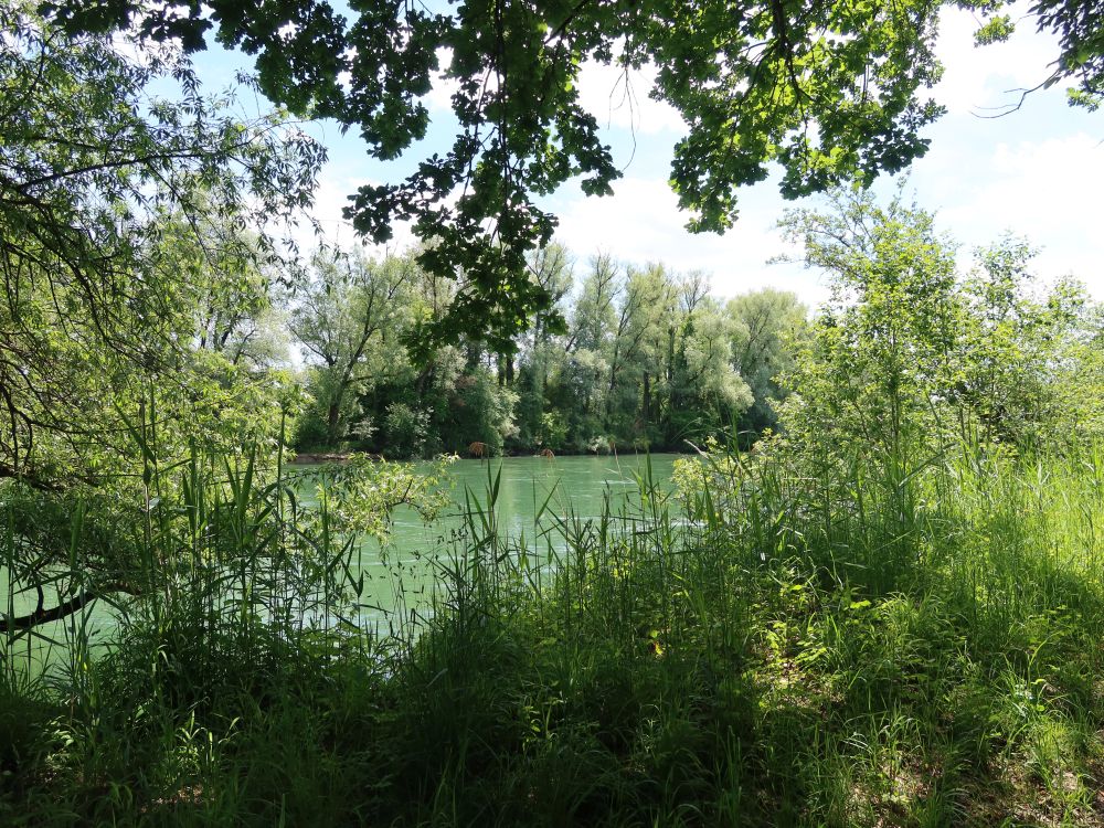Reuss