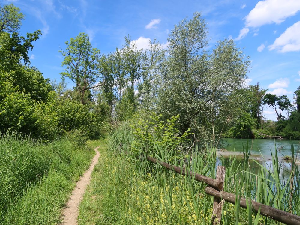 Pfad an der Reuss