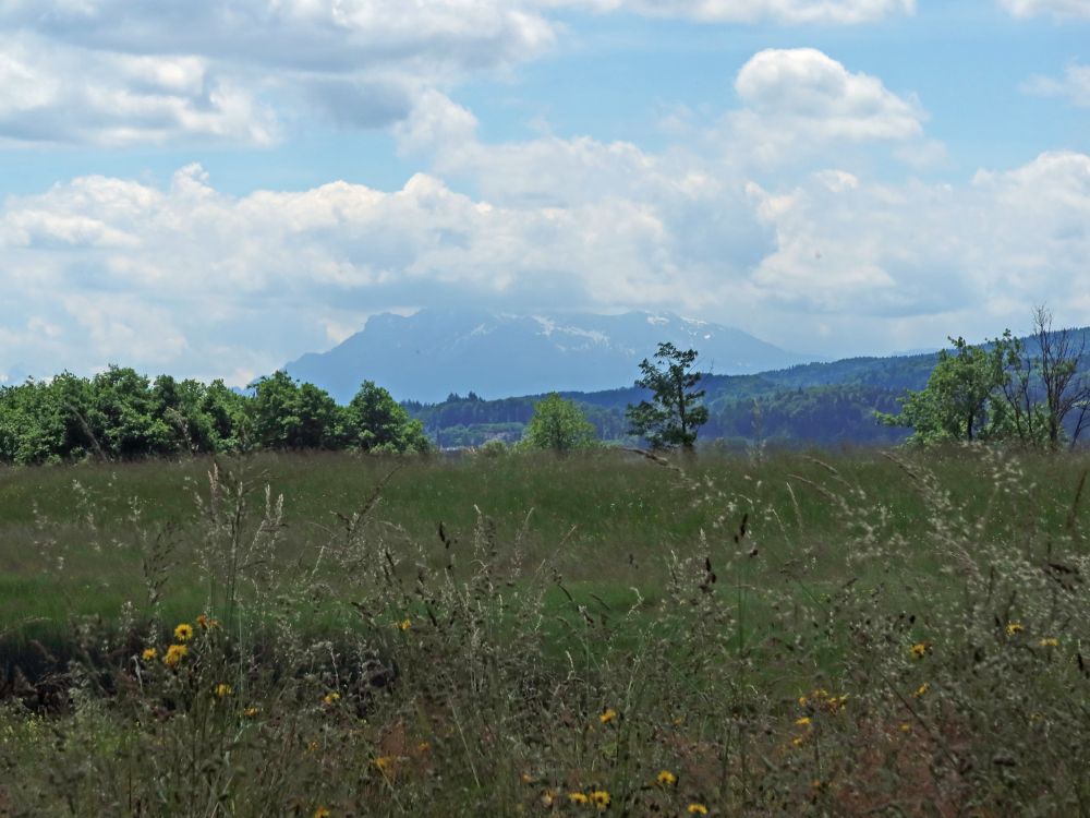 Pilatus in Wolken