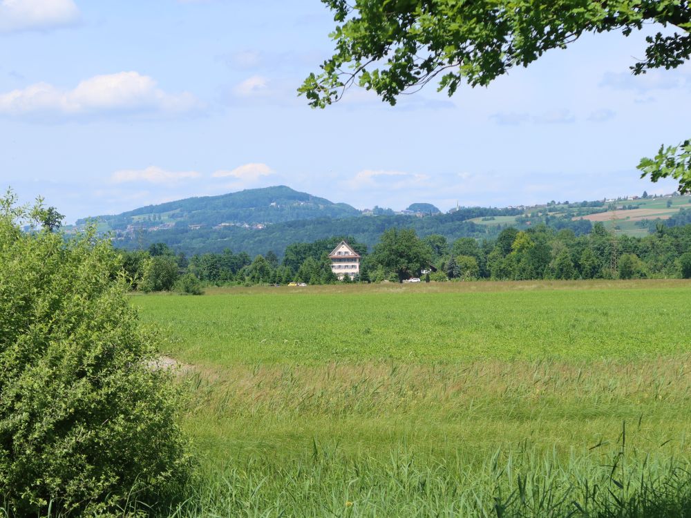 Blick Richtung Heitersberg