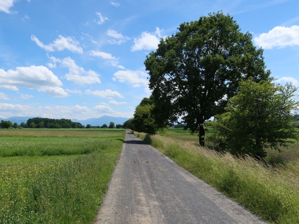 Blick Richtung Rigi
