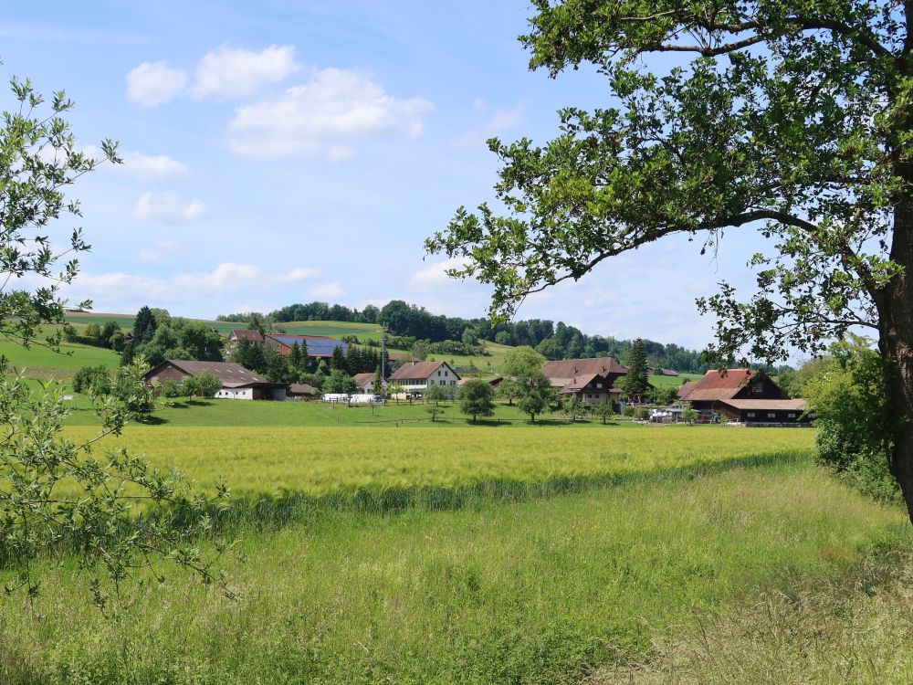 Gizlen