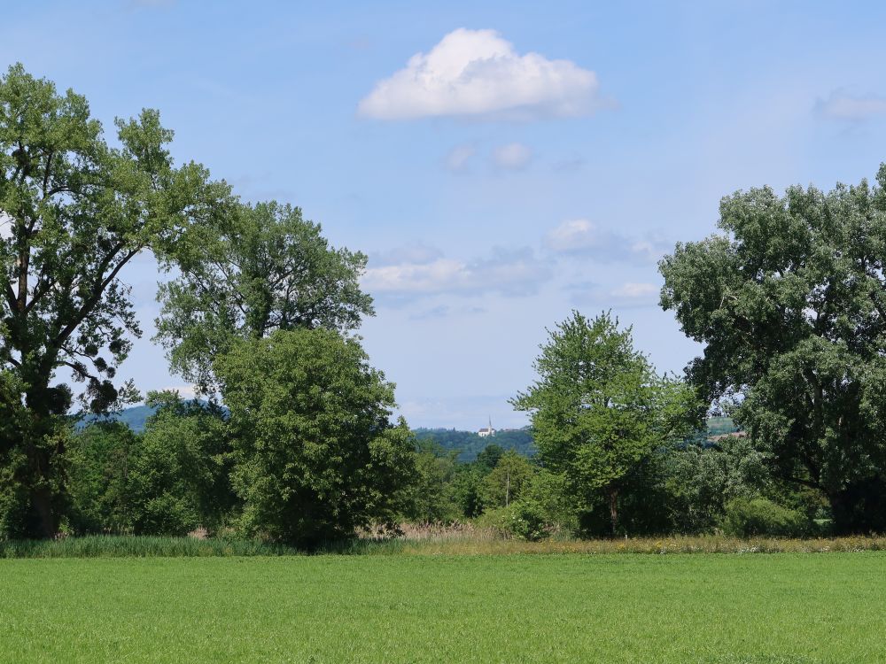 Kirche zwischen den Bäumen