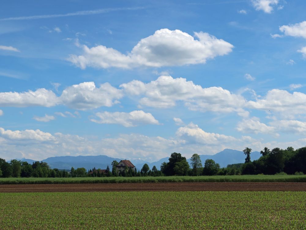 Blick Richtung Wildspitz und Rigi