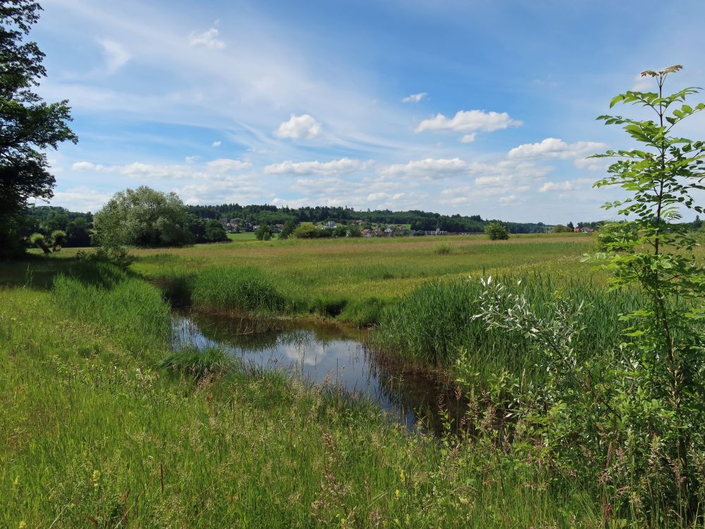 Naturschutzgebiet Giriz