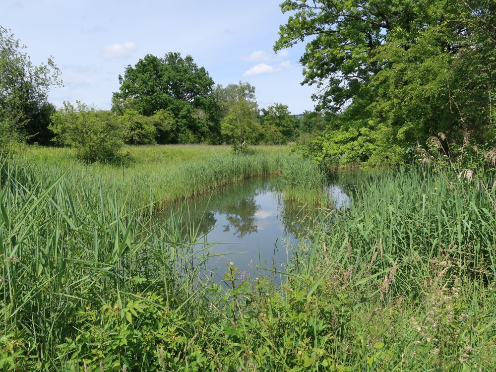 Naturschutzgebiet Giriz