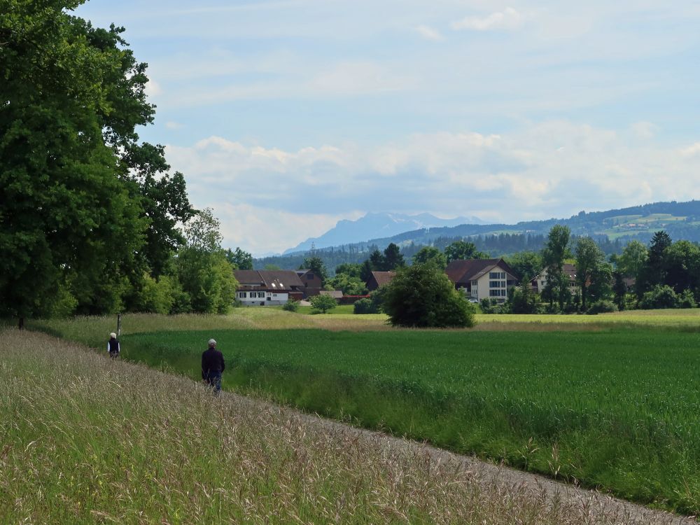 Blick Richtung Pilatus
