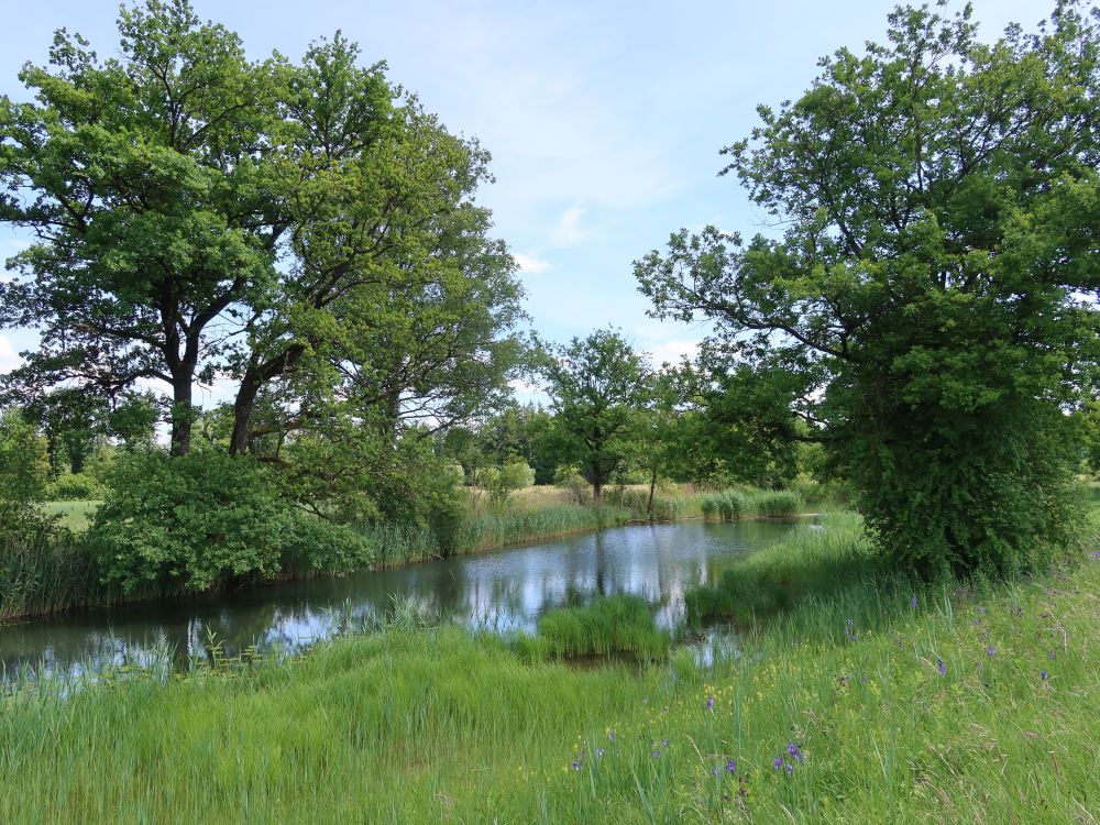 Naturschutzgebiet Giriz