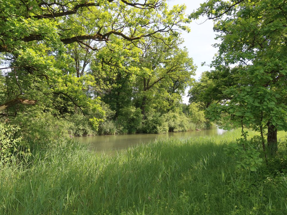 Naturschutzgebiet Giriz
