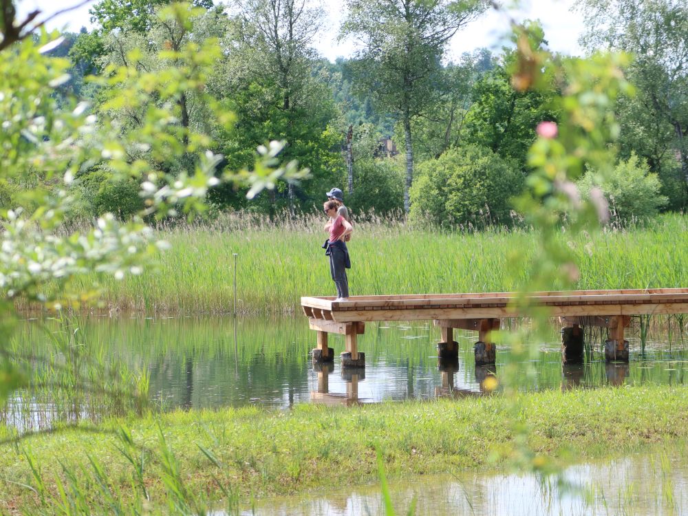 Teich mit Steg