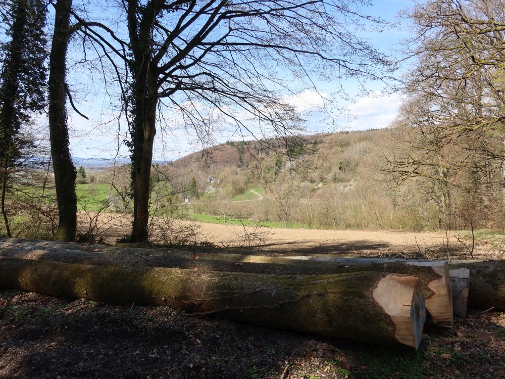 Blick vom Ziegelhaldenweg