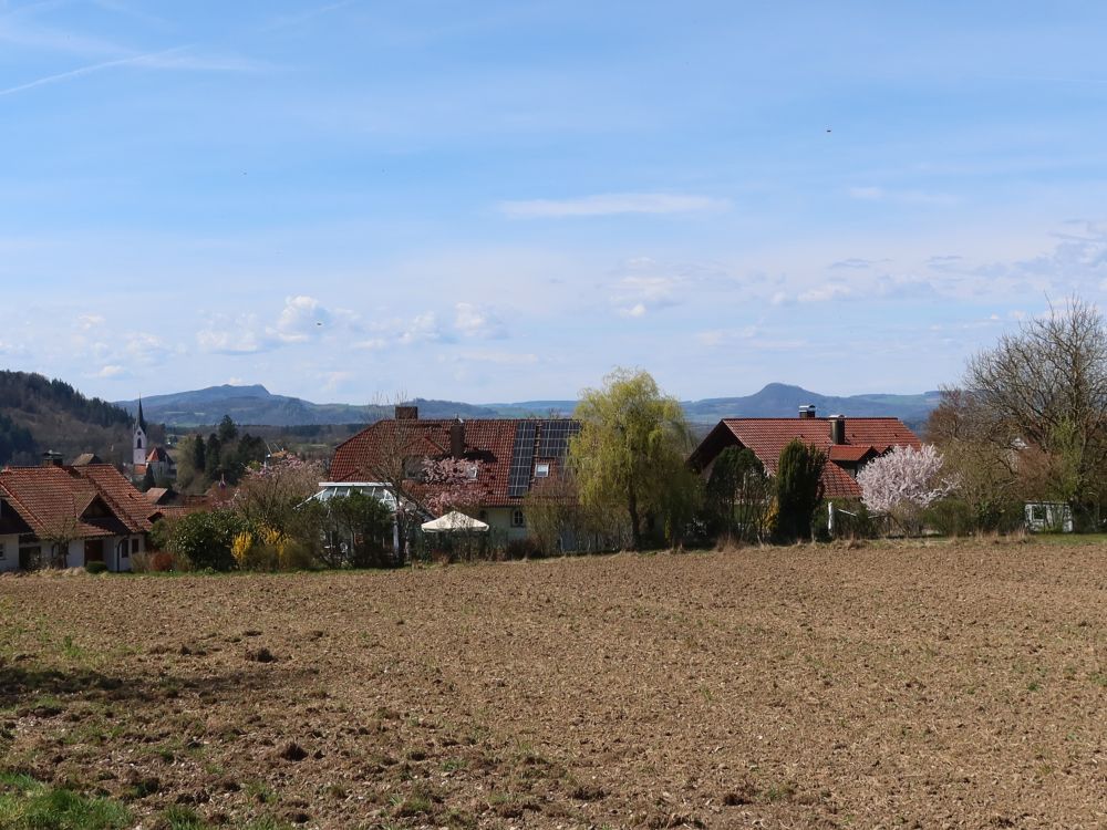 Hohenstoffeln und Hohenhewen