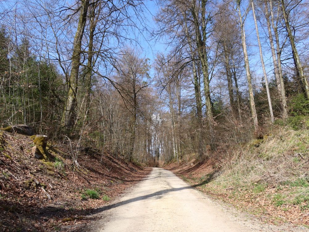 Waldweg