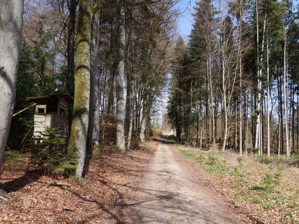 Jägerstand am Waldweg