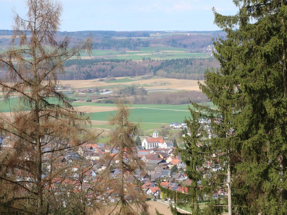 Blick auf Orsingen