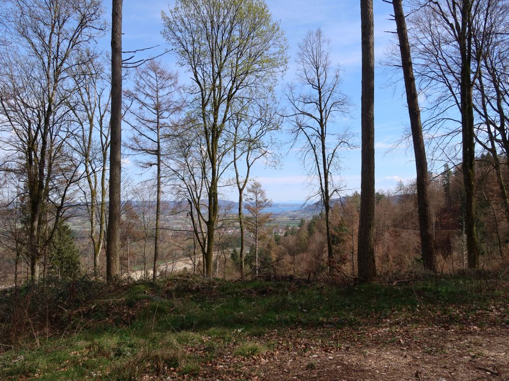 Blick Richtung Überlingersee