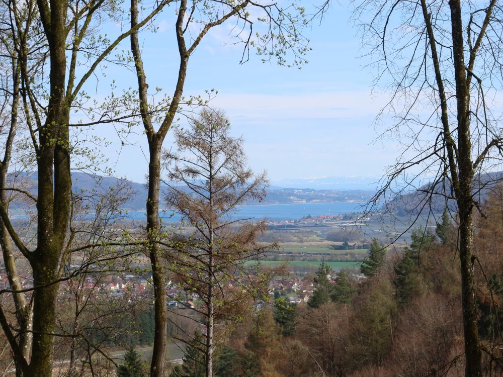 Blick Richtung Überlingersee