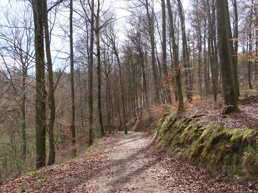 Höhenweg