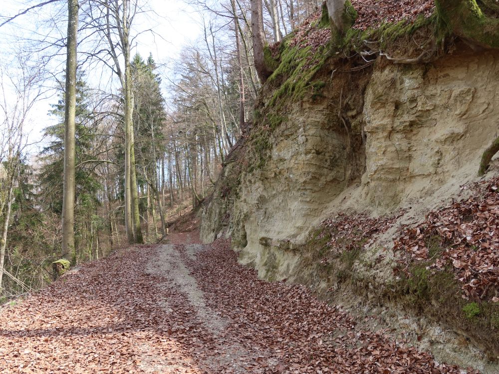 Felswand am Höhenweg
