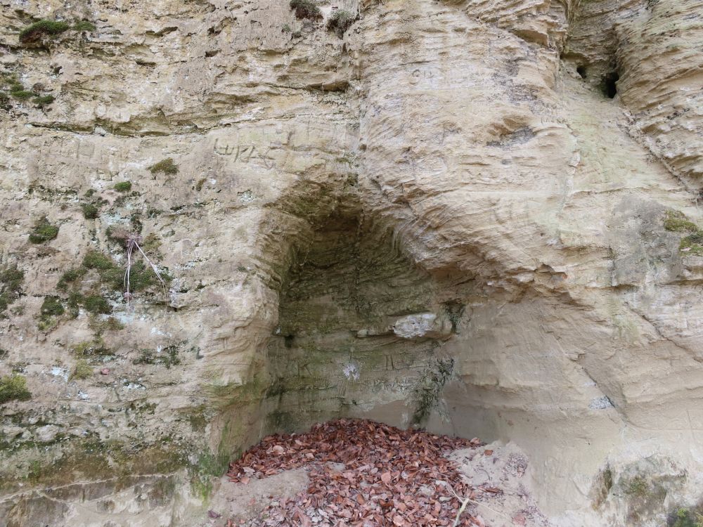 Felswand am Höhenweg