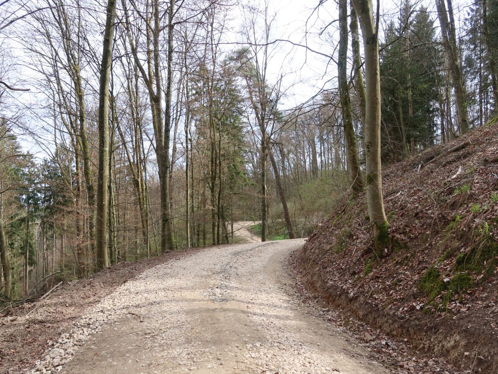 Waldweg