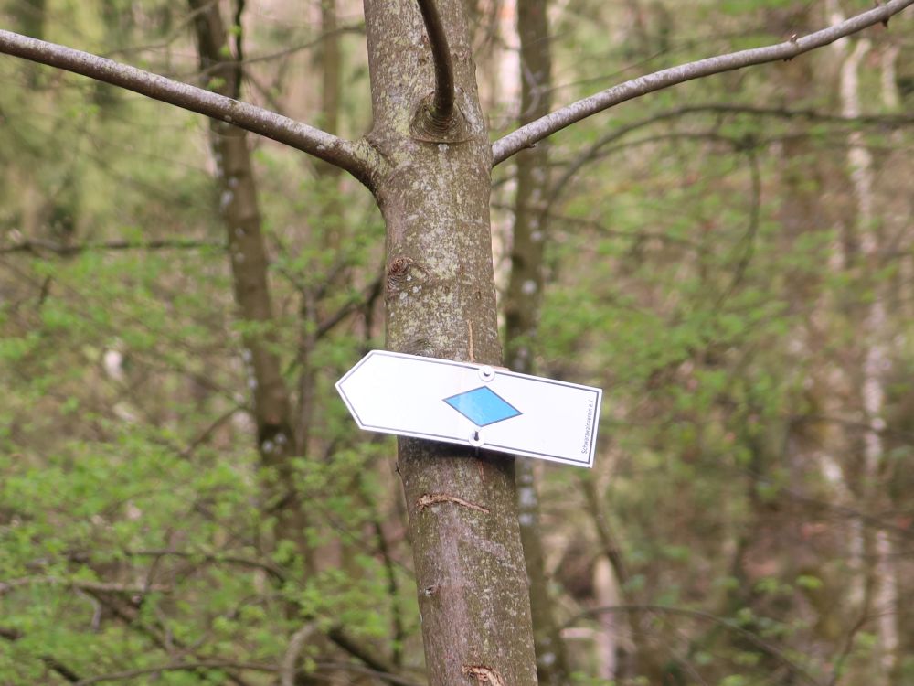 Wanderwegmarkierung