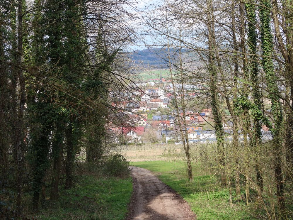 Panoramaweg über Wahlwies