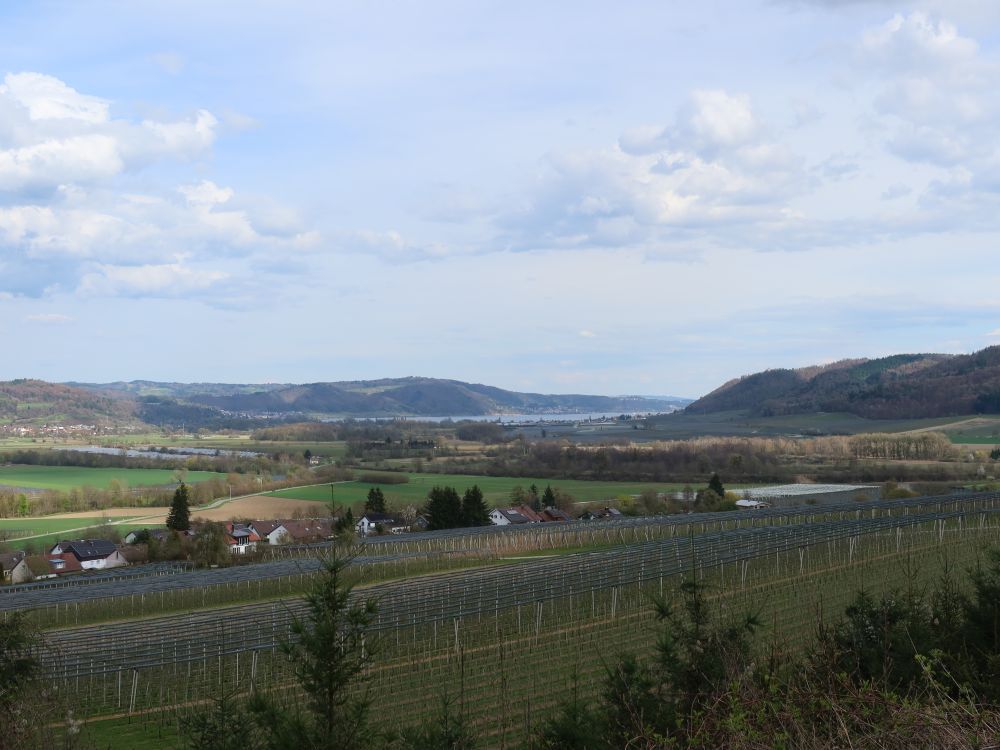 Blick Richtung Überlingersee