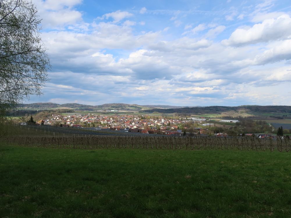 Blick Richtung Wahlwies