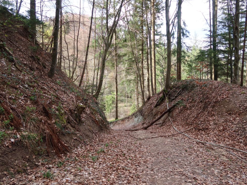 steiler Hohlweg