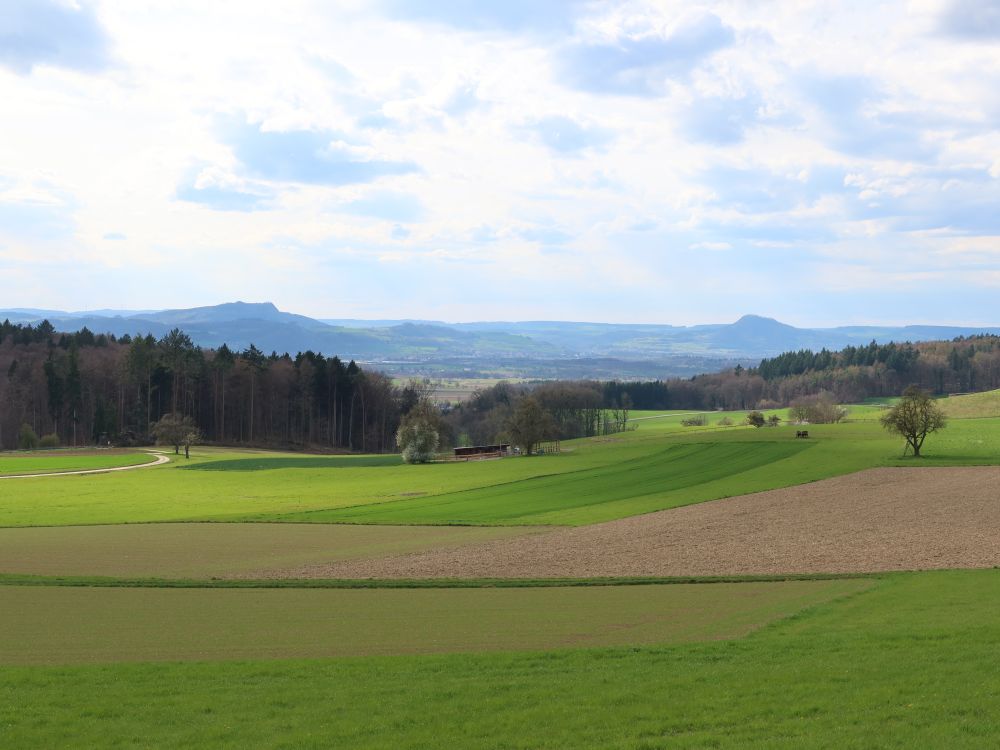 Hohenstoffeln und Hohenhewen