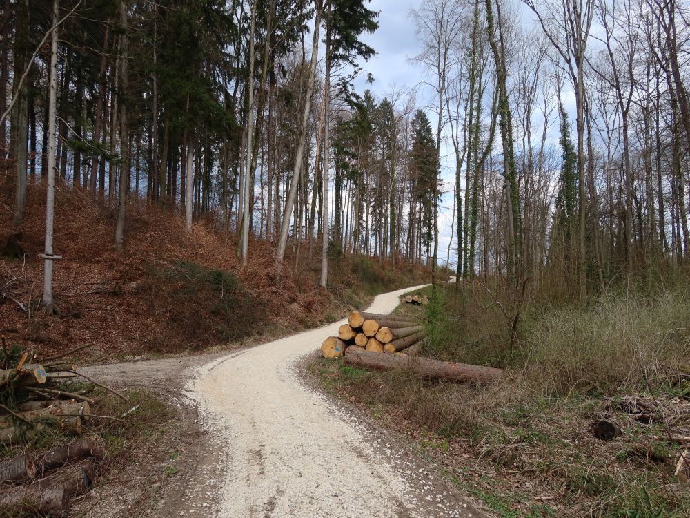 Waldweg